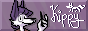 Kipsys